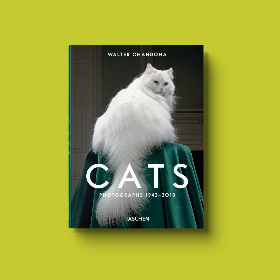 "Cats. Photographs 1942–2018" - Walter Chandoha 1 "Cats. Photographs 1942–2018" - Walter Chandoha