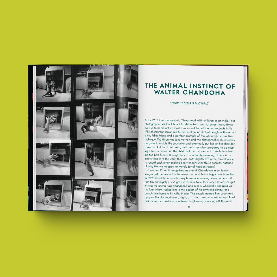 "Cats. Photographs 1942–2018" - Walter Chandoha 2 "Cats. Photographs 1942–2018" - Walter Chandoha - immagine 2