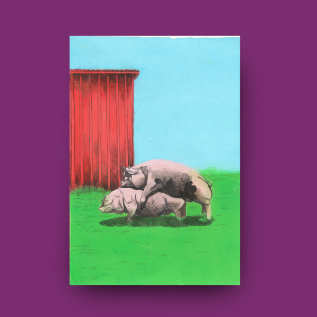 Incontro d'amore Nicola Dadamo Doggoman