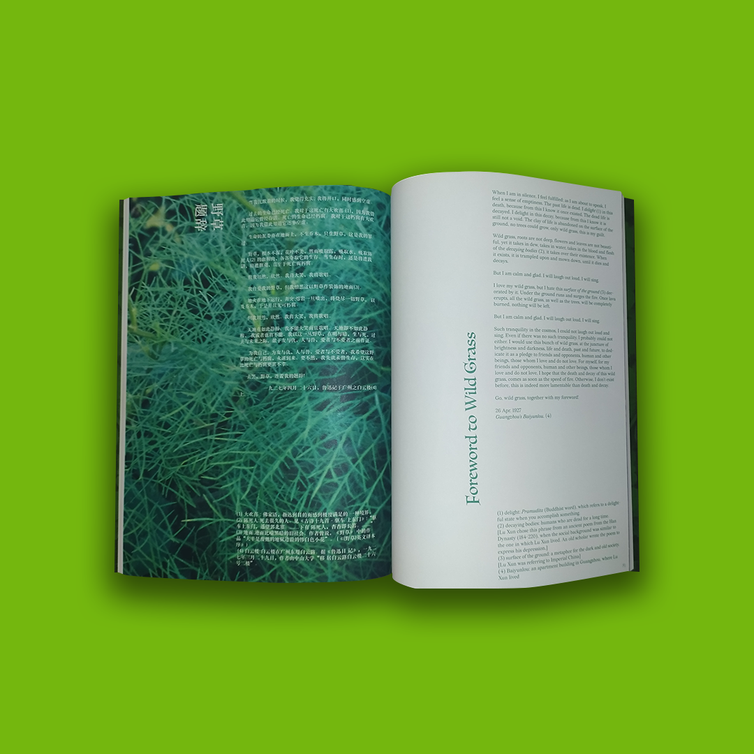 "Plants Magic Issue 2: Weeds" - by Hooops - immagine 2