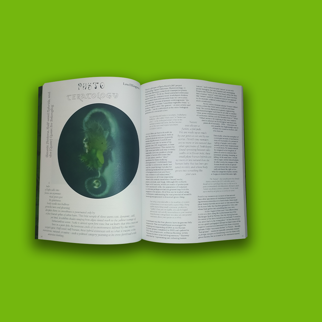"Plants Magic Issue 2: Weeds" - by Hooops - immagine 3