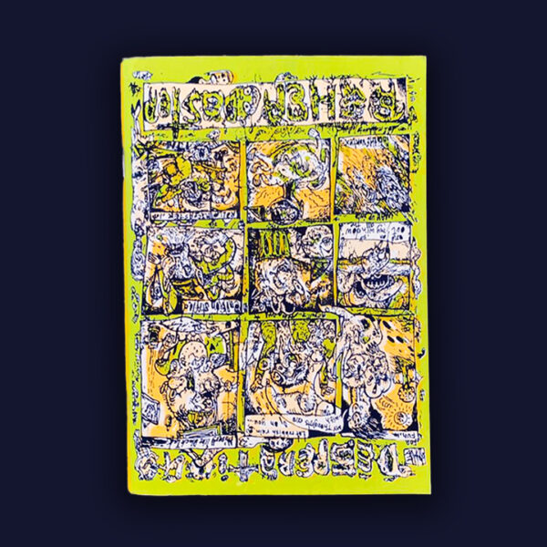 "desperation rollercoaster"- Fumetto in serigrafia 15,5x22 di Joe Kolessides