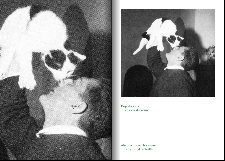 Jolly, Il Gatto che Fuma – Alfredo Cilento 3 Jolly, Il Gatto che Fuma – Alfredo Cilento - immagine 3