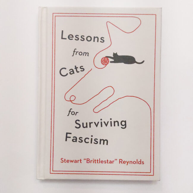 lessons from a cat