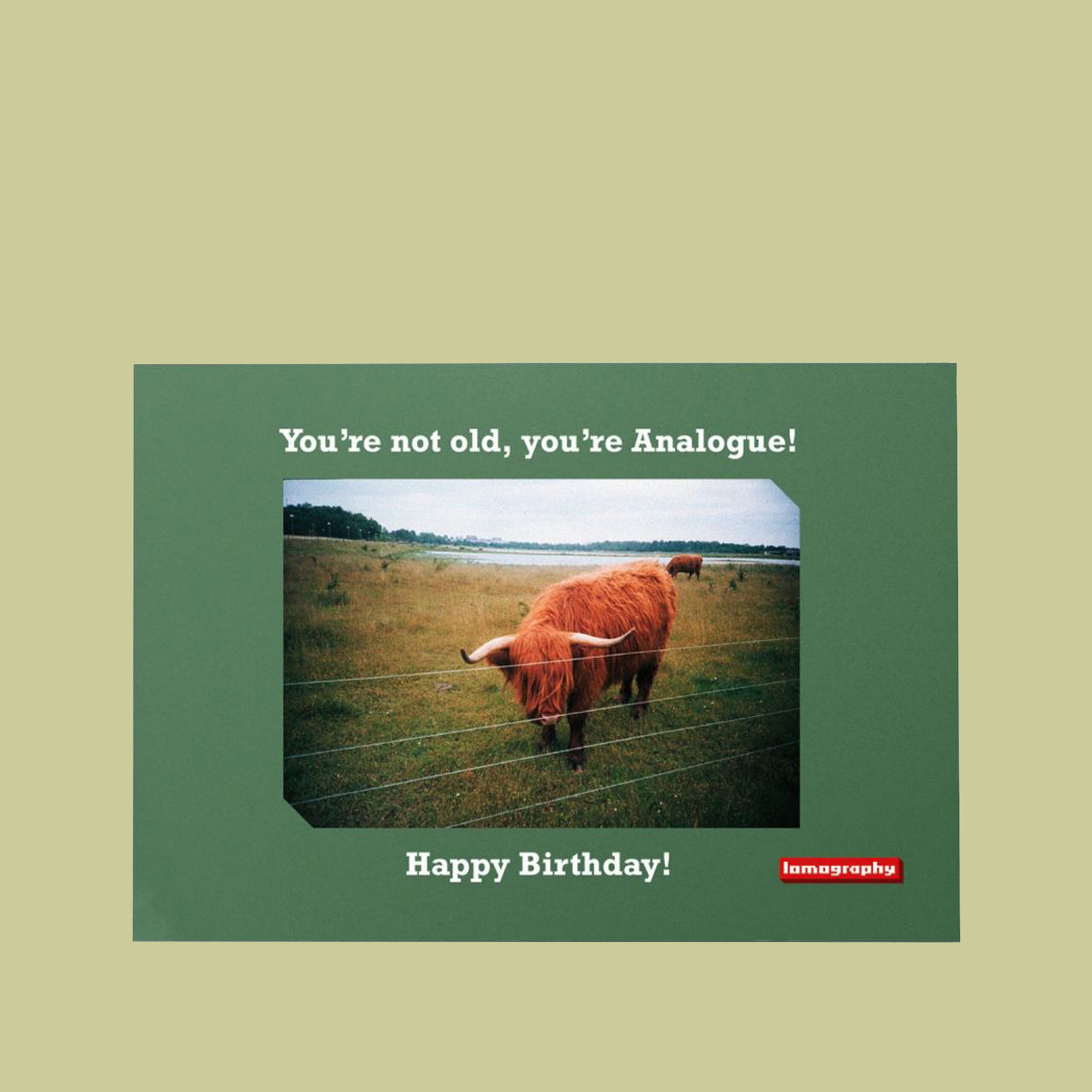 Lomography Love Cards - Pack di 3 biglietti d'auguri lomografici - immagine 4